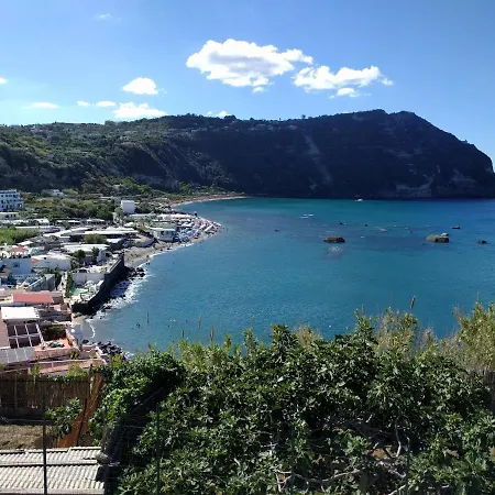 Chiocciola @noi * Neapol